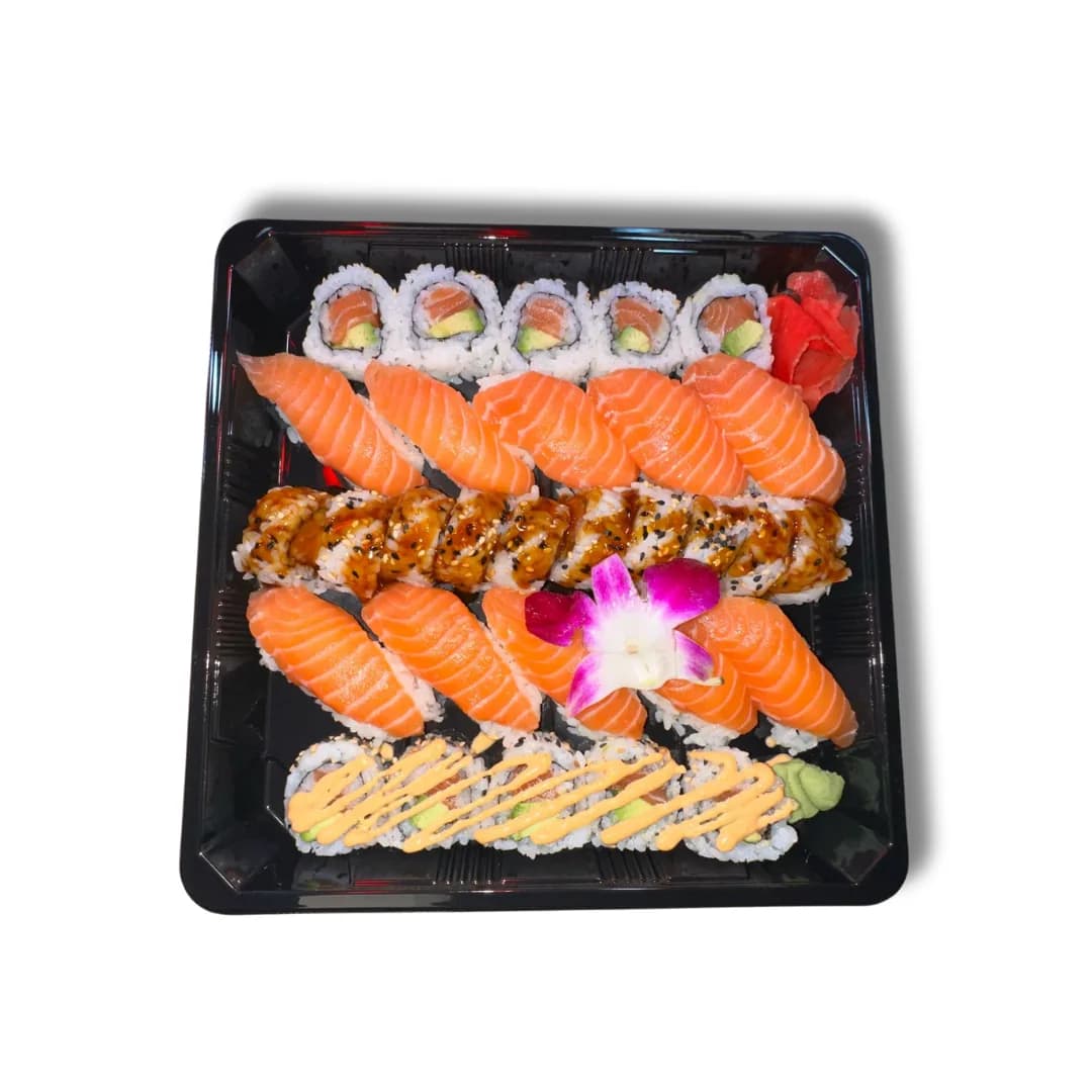 Salmon family